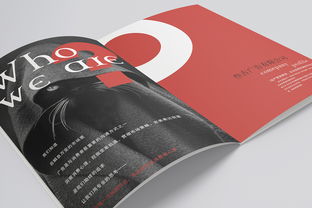 创新营销，卓越传播——XX公司广告业务介绍